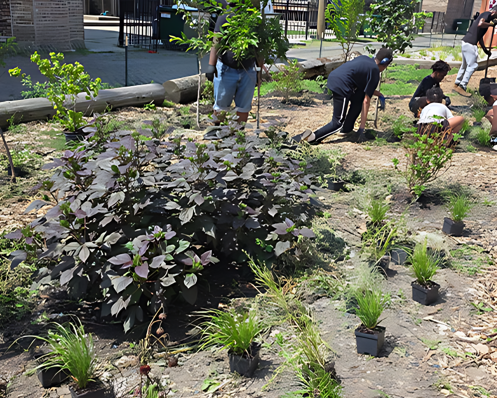 1_imgupscaler.ai_v1(Fast)_2K